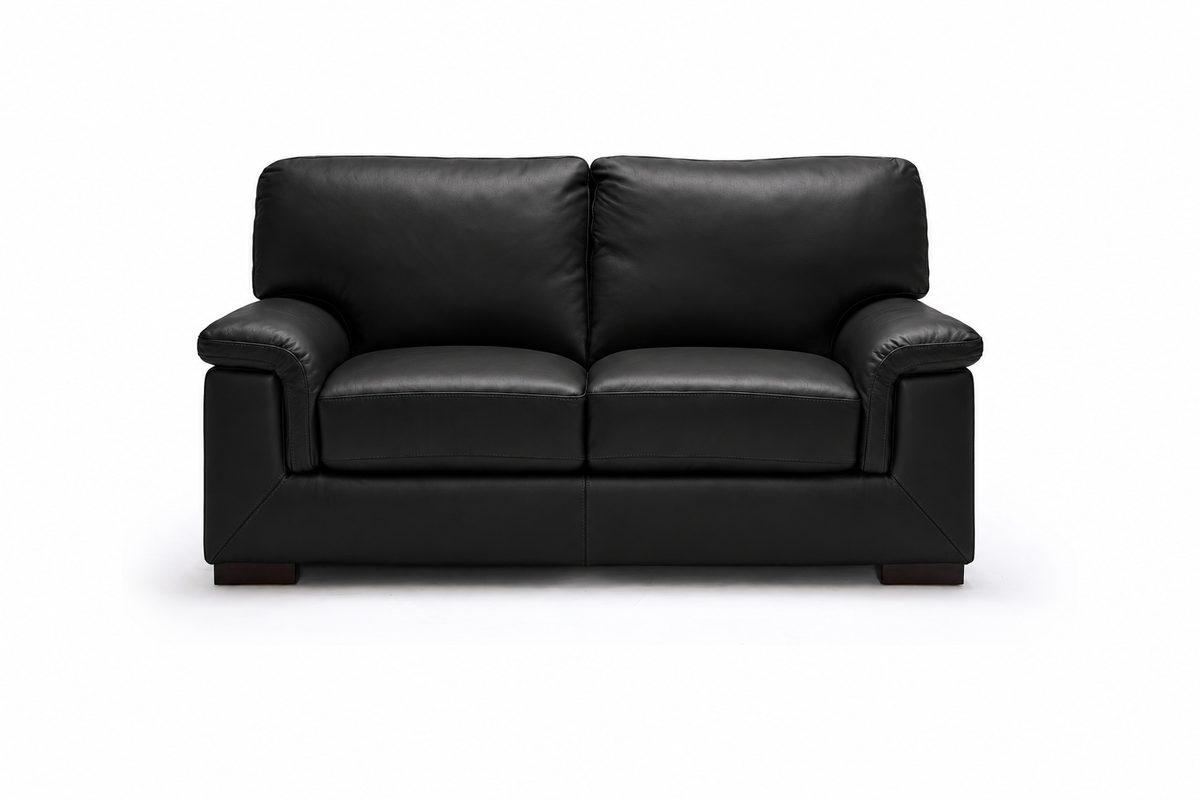 Haven 2 Seater | Premium Black Leather