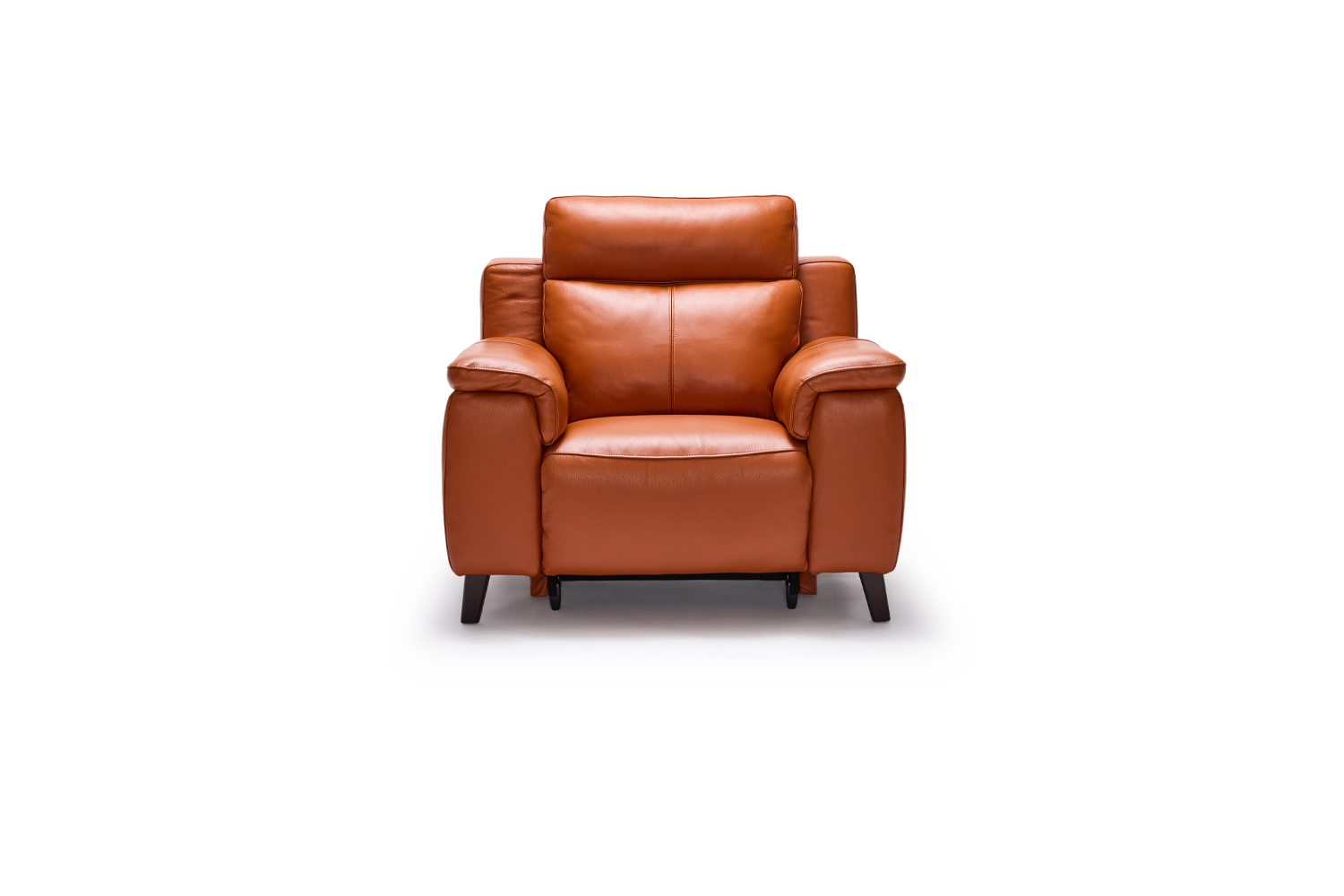 Dane Electric Recliner With Electric Headrest