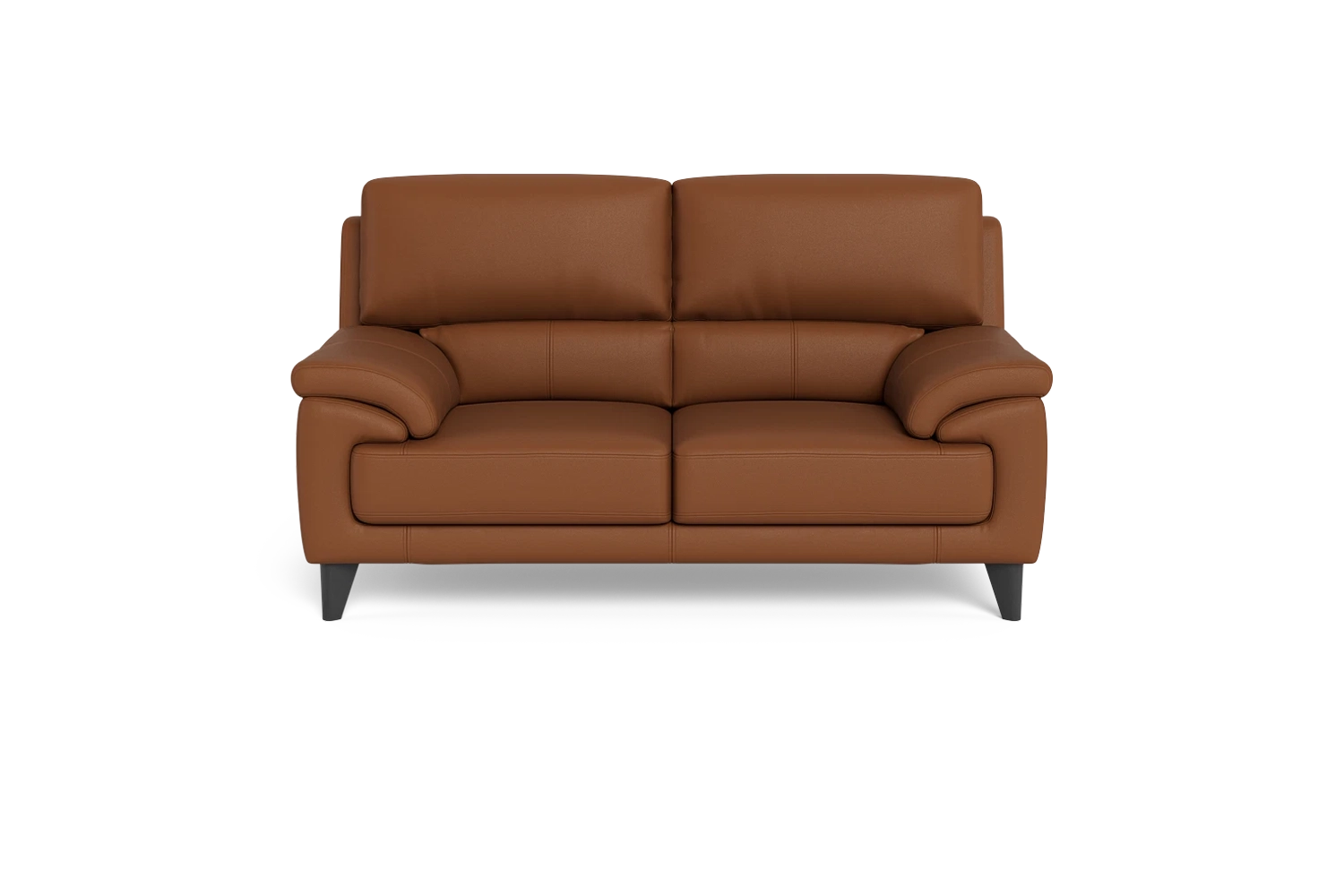 Elena 2 Seater Lounge Leather