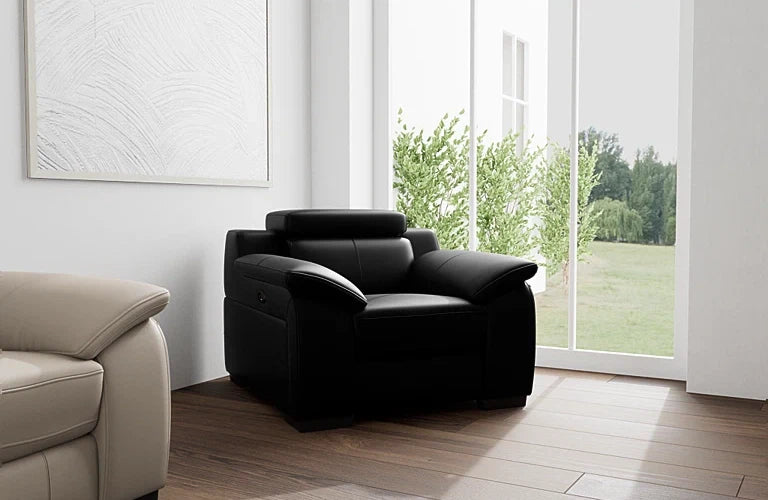 Delia Electric Recliner With Zero Wall Technology