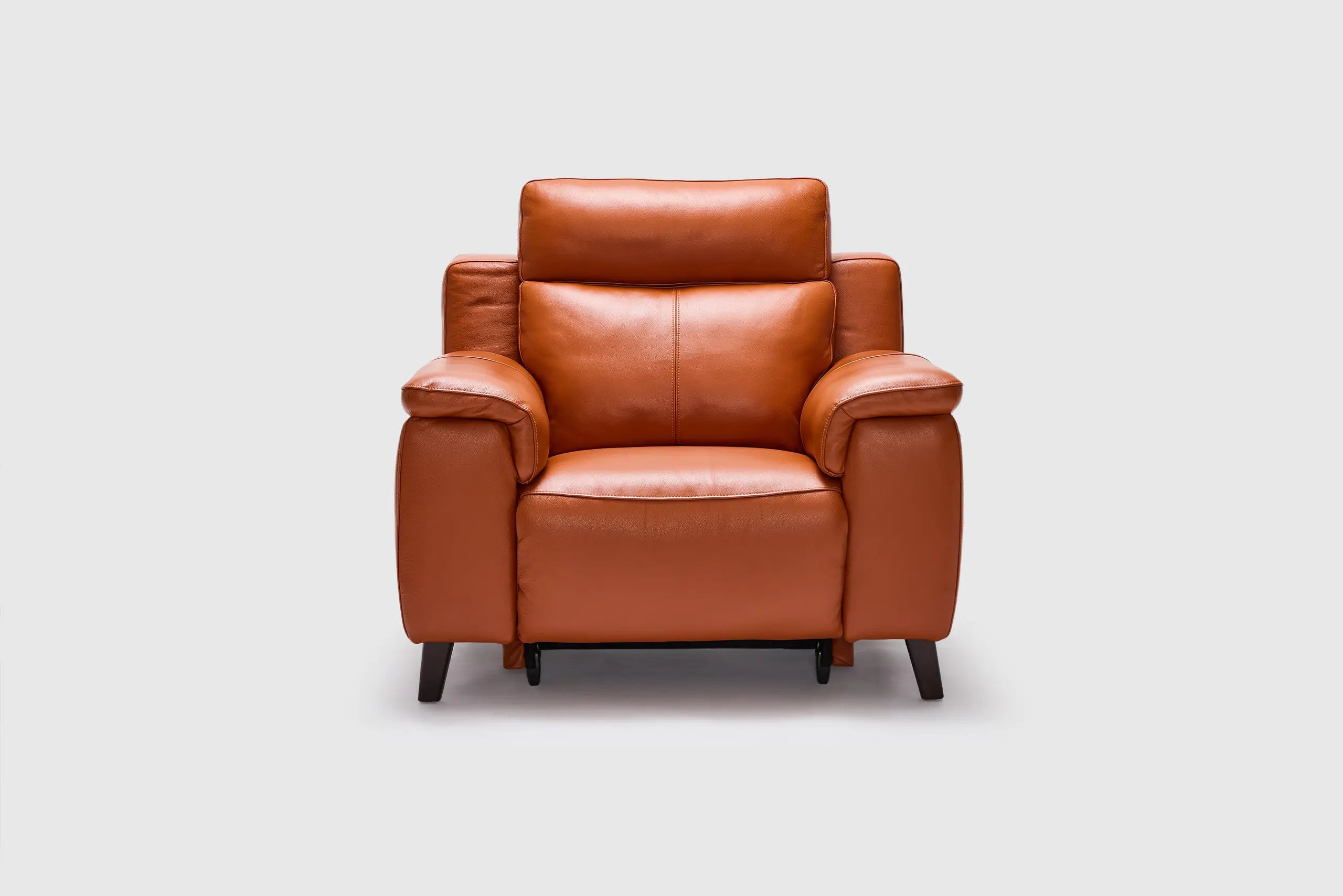 Dane Electric Recliner With Electric Headrest