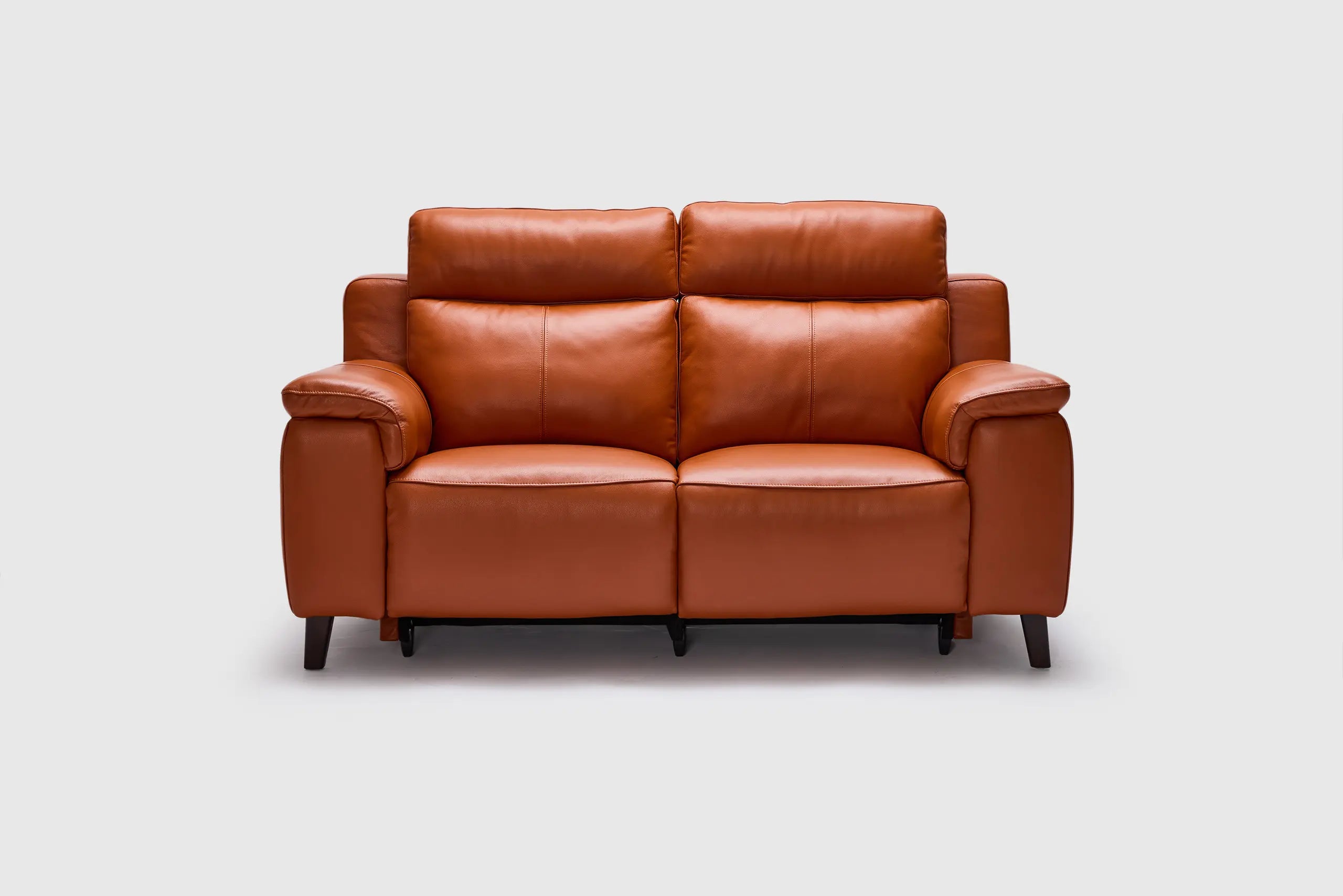 Dane 2 Seater Dual Electric Recliners With Electric Headrests