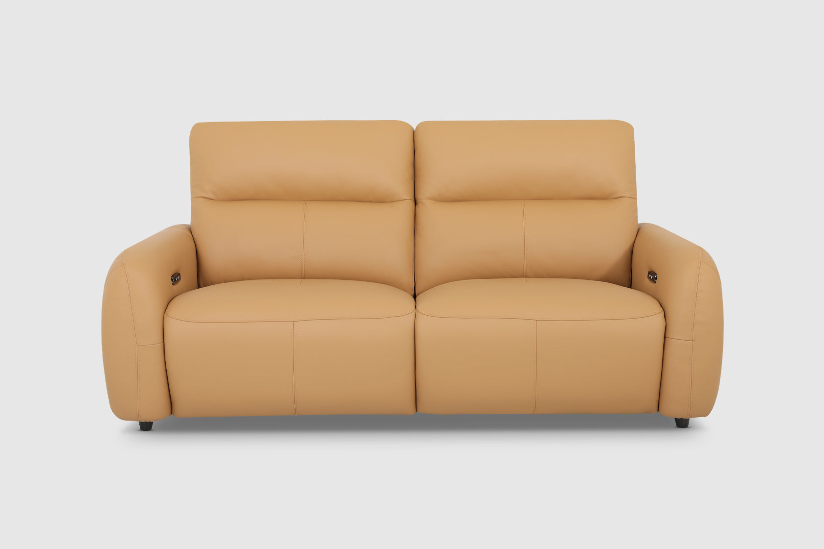 Elyse 2.5-Seater - Leather