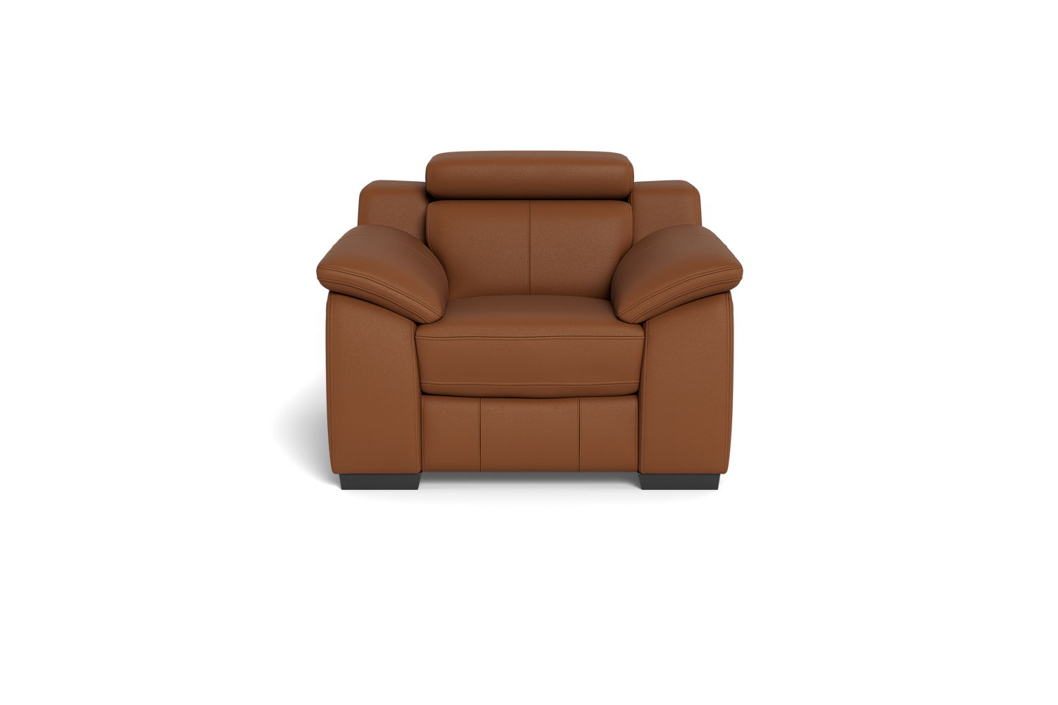Delia Electric Recliner With Zero Wall Technology