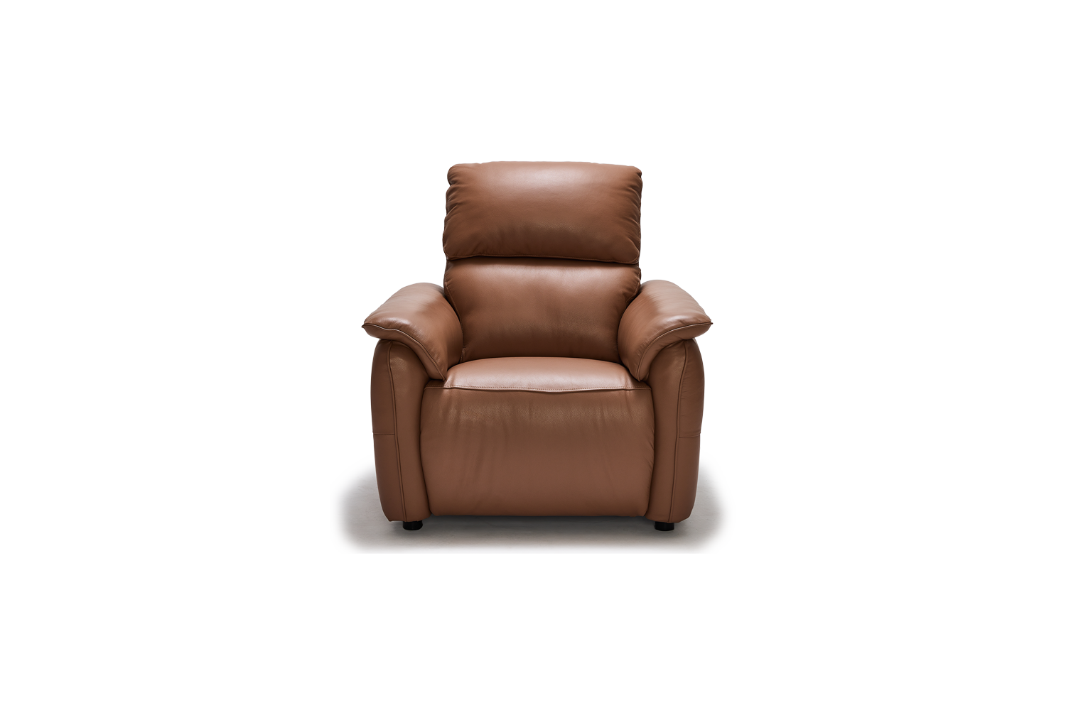 Elezay 1 Seater - Leather